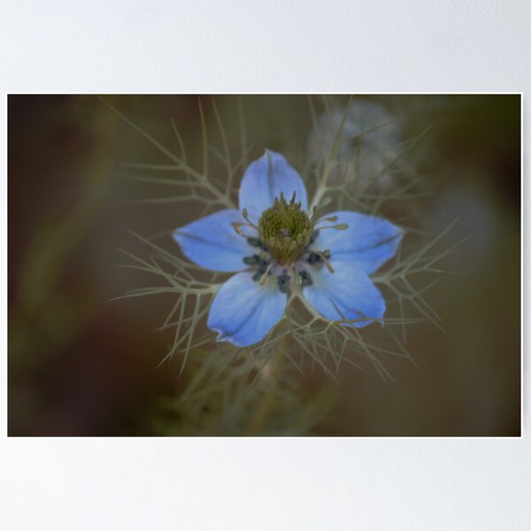 Item preview, Blue flower  designed and sold by hotbox.