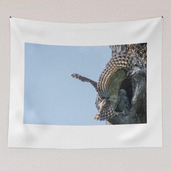 Item preview, Feeding on the fly designed and sold by Puttaswamy Ravishankar.