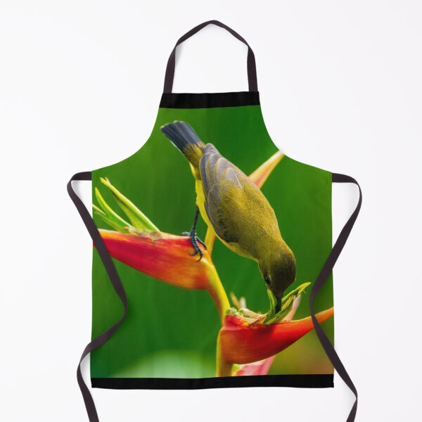 Item preview, Olive-backed Sunbird designed and sold by TravellingFatmn.