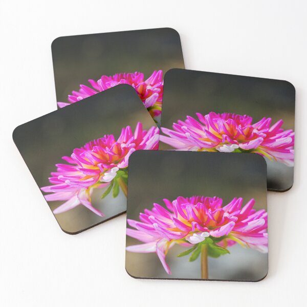 Item preview, Rich Warm Dahlia Bloom designed and sold by Joy Watson - Natural Light Photography .
