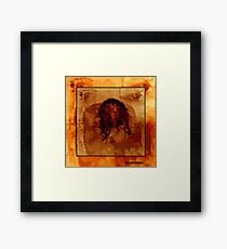 shower of despair Framed Print
