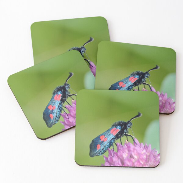 Item preview, Zygaena filipendulae designed and sold by iago rodriguez dopico.