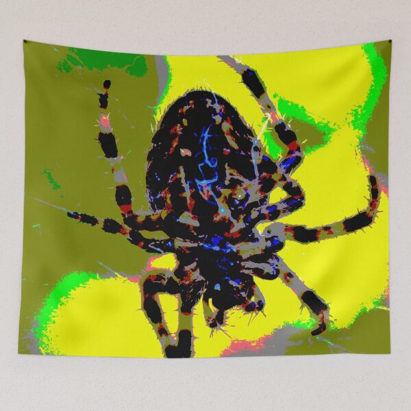 Item preview, The Euro Spider of Colours! designed and sold by Mickangelhere.