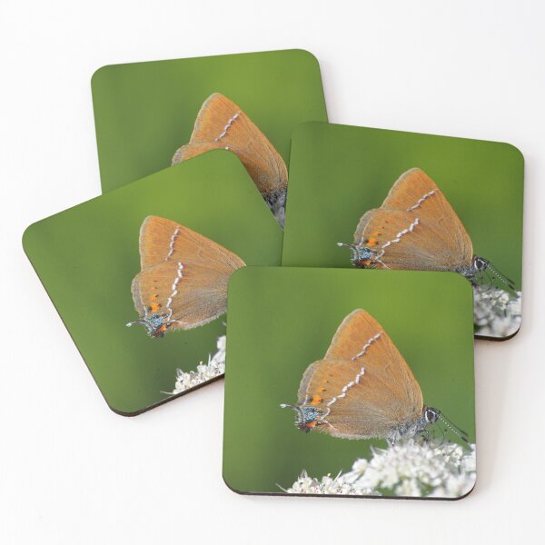 Item preview, Satyrium spini designed and sold by iago rodriguez dopico.
