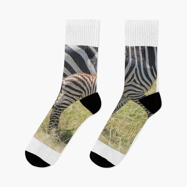 Item preview, Small zebra family designed and sold by Ingo Gerlach.