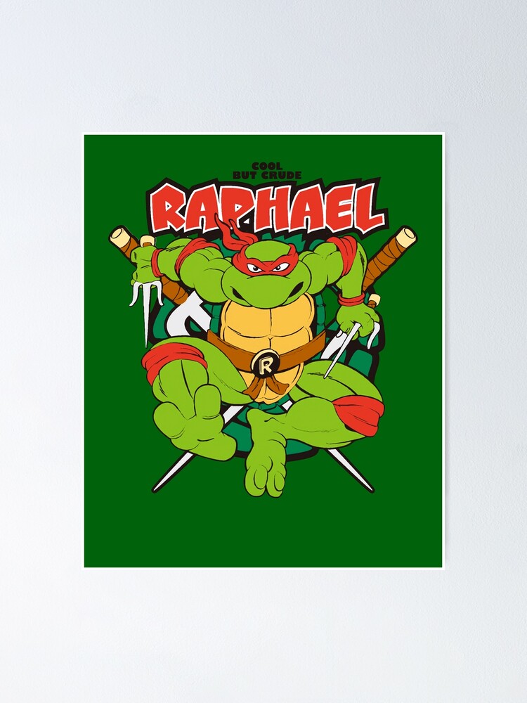 Boy's Teenage Mutant Ninja Turtles Raphael Face T-Shirt - Kelly Green -  Large