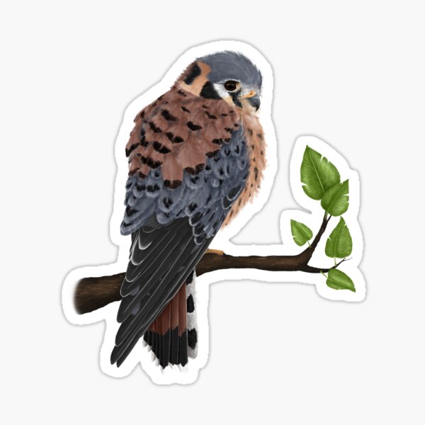 Item preview, American Kestrel designed and sold by Plumicorns.
