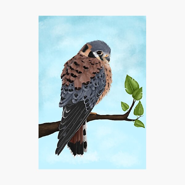 Item preview, American Kestrel designed and sold by Plumicorns.