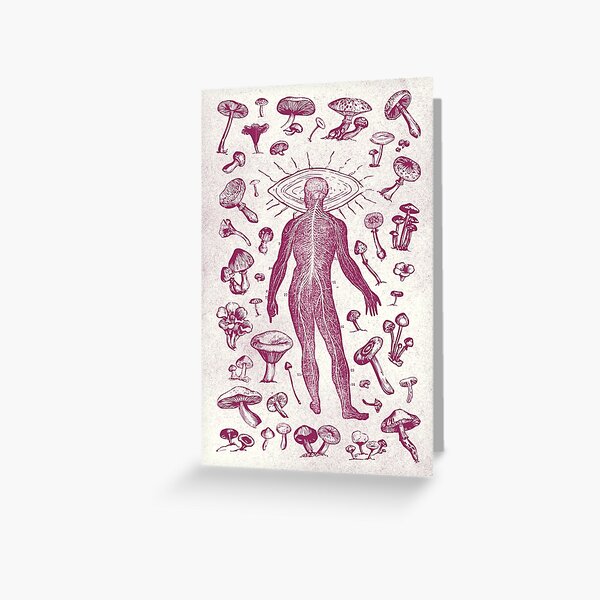 Mushrooms Greeting Card