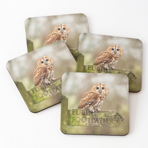 Item preview, Owl on signpost designed and sold by JLP ARTWORKS.