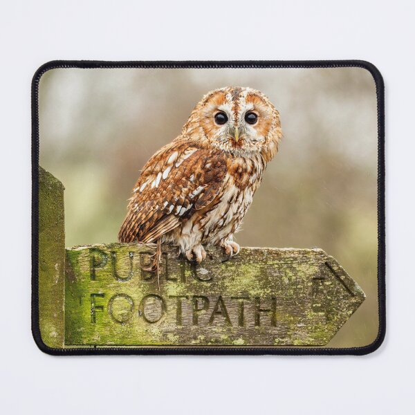 Item preview, Owl on signpost designed and sold by JLP ARTWORKS.
