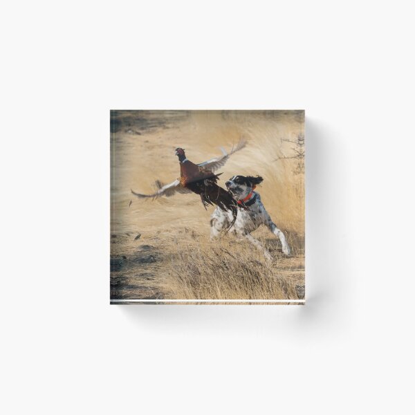Item preview, English Setter Chasing Pheasant designed and sold by ddeweyphoto.