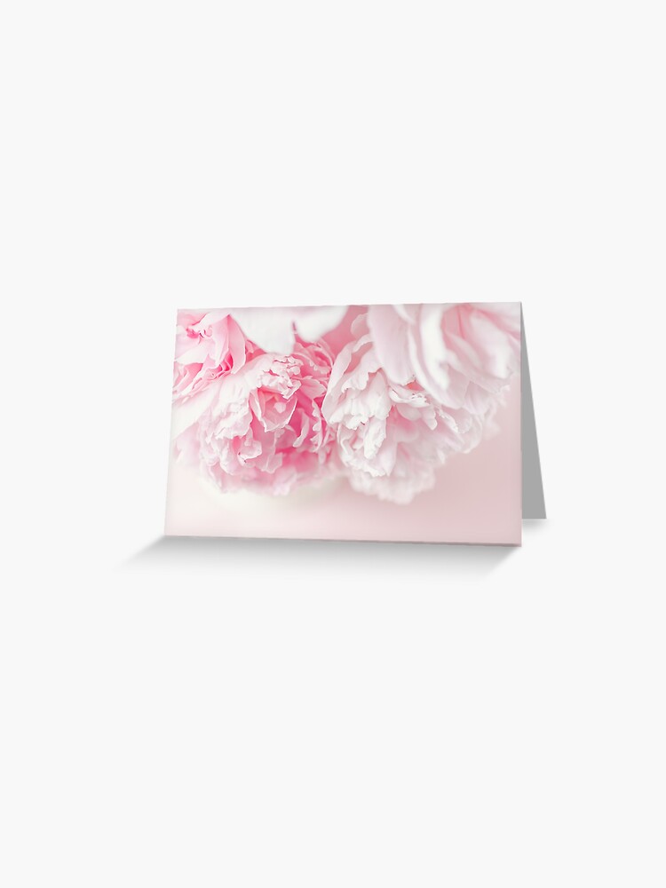 Tarjetas de felicitación «Bastante en rosa - Peonías en colores pastel» de  DeniseTorres | Redbubble