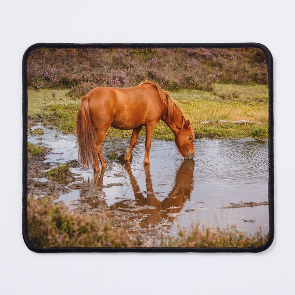 Item preview, New Forest pony at waterhole with reflection designed and sold by Dalyndigital Photography.