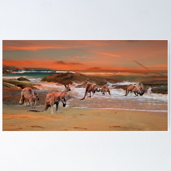 Item preview, Kangaroo Family At The Beach designed and sold by A-Work-Of-Art.