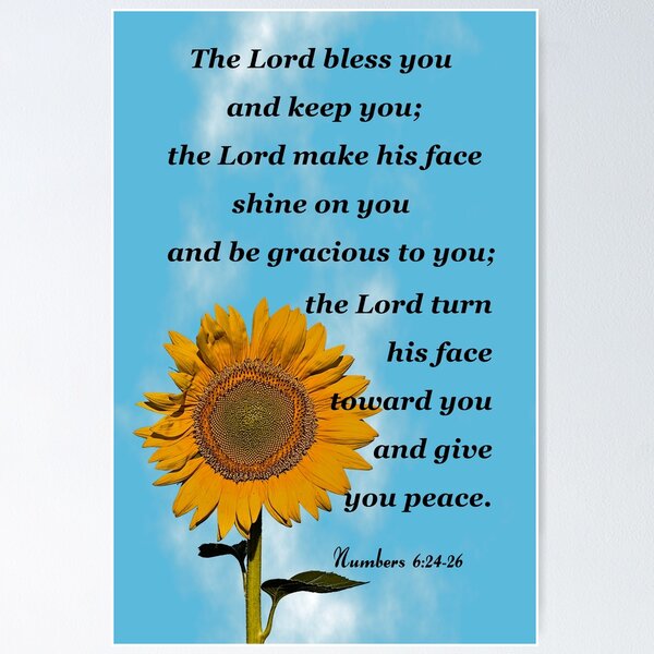 Bless You and Keep You Black and Gold Large Portrait Gift Bag with Card -  Numbers 6:24-26