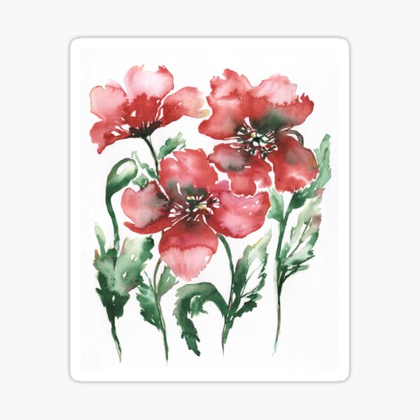 Carmine red poppies Sticker