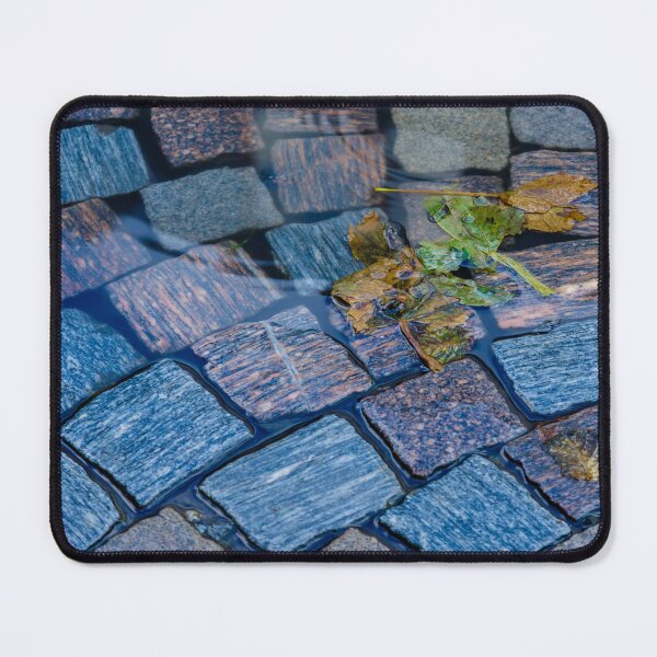 Item preview, Cobblestones and Leaves designed and sold by Dalyndigital Photography.