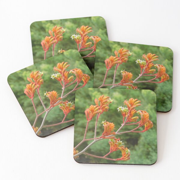 Item preview, Orange Kangaroo Paw designed and sold by Jane Izzy Designs.