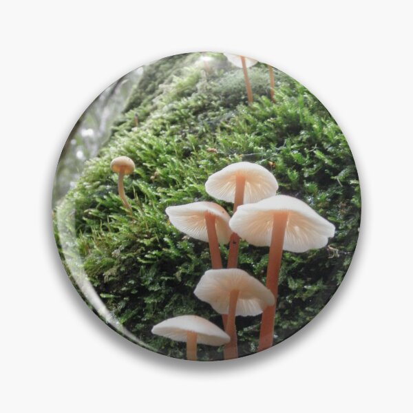 Item preview, Fungi Group, Mt. Field National Park, Tasmania, Australia. designed and sold by kaysharp.