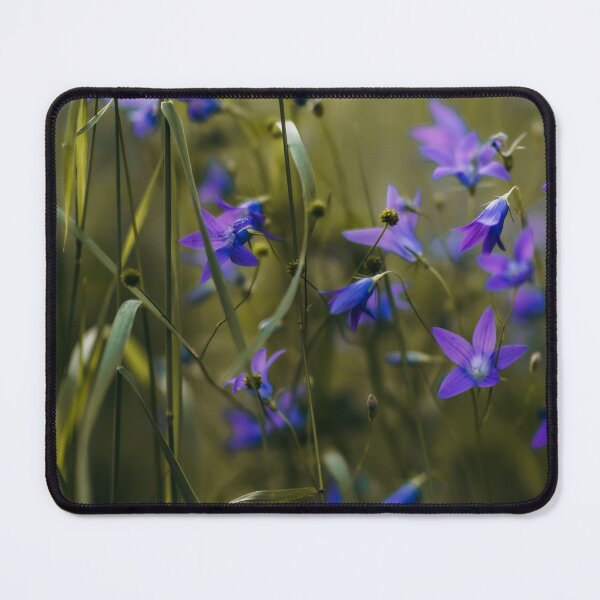 Item preview, Summer Colours designed and sold by RewildJane.