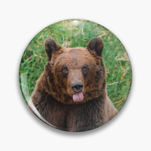 Item preview, Cheeky Brown Bear designed and sold by RewildJane.