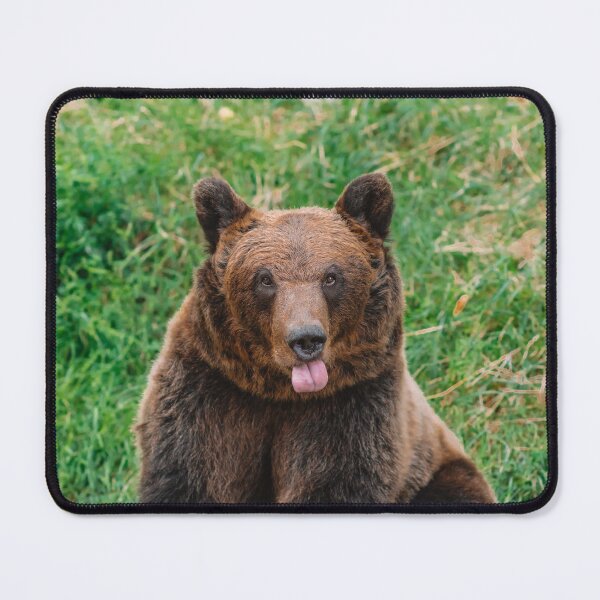 Item preview, Cheeky Brown Bear designed and sold by RewildJane.