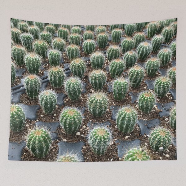 Aperçu de l'œuvre PTRN 040 - Point de vue des cactus créée et vendue par enchantedsofa.