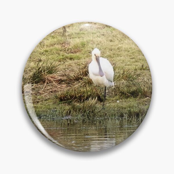 Item preview, Spoonbill at the edge of a lagoon designed and sold by TwistedClassics.