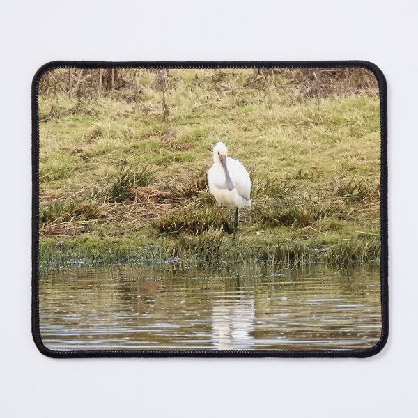 Item preview, Spoonbill at the edge of a lagoon designed and sold by TwistedClassics.