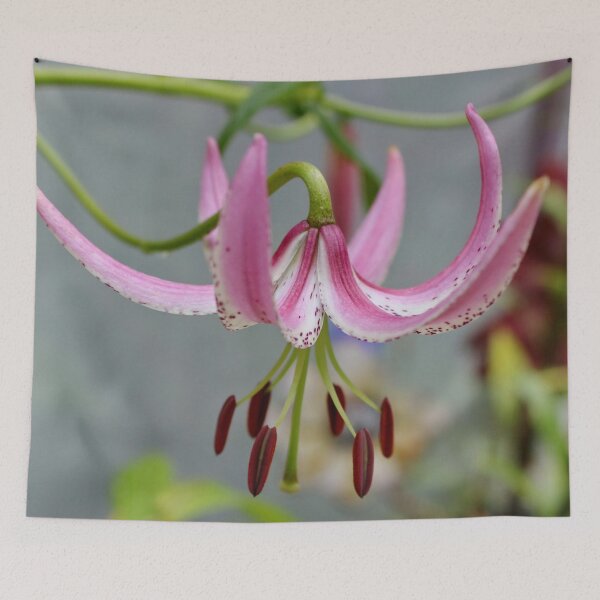 Item preview, Lilium lankongense  - Wild or Chinese Lily designed and sold by AnnDixon.