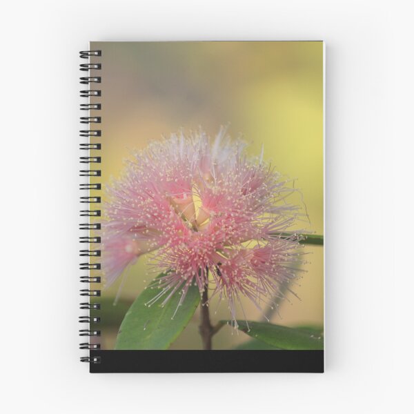 Item preview, Bokeh Grevillea designed and sold by KazM.