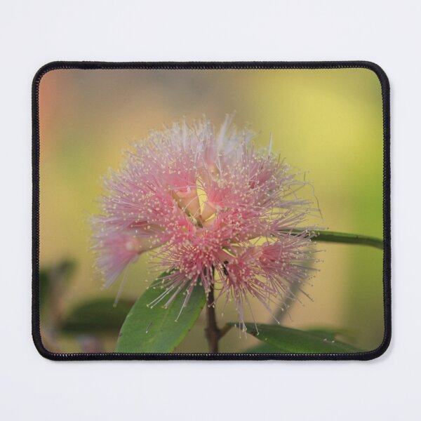 Item preview, Bokeh Grevillea designed and sold by KazM.