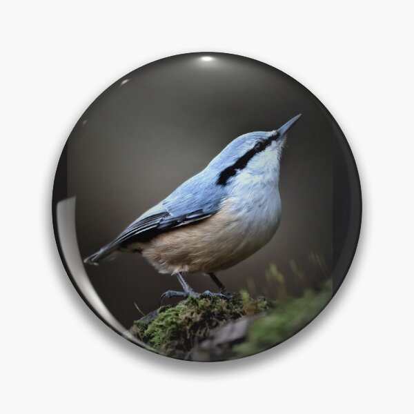Item preview, The Eurasian nuthatch or wood nuthatch designed and sold by NTGUILTY.