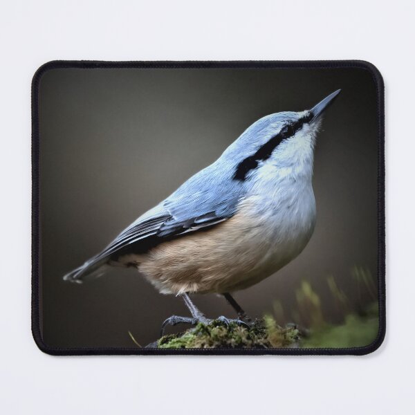 Item preview, The Eurasian nuthatch or wood nuthatch designed and sold by NTGUILTY.