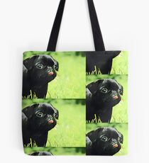 Mops Tote Bag
