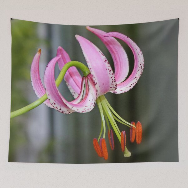 Item preview, Chinese Lily designed and sold by AnnDixon.