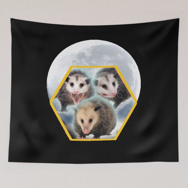 Item preview, Three Opposum Moon With 3 Possums And Dead Moon Costume designed and sold by NeboulaHamra.