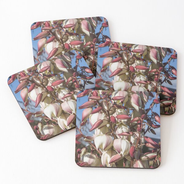 Item preview, Yucca in bloom designed and sold by Dave Hare Photography.