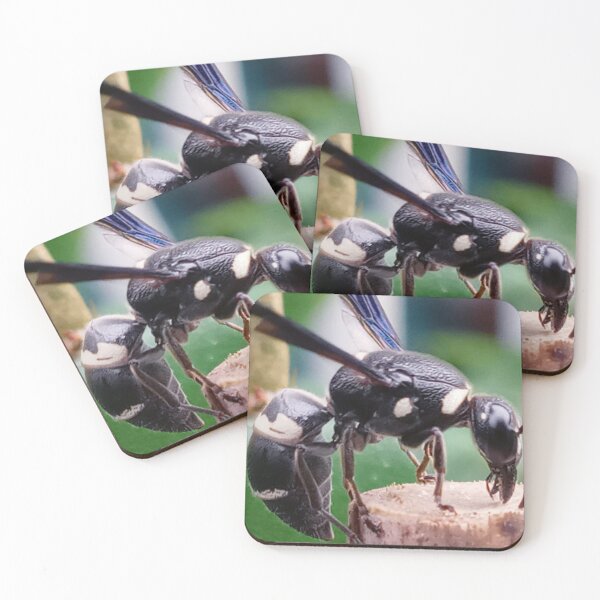 Item preview, Mason wasp stopping for lunch #1  designed and sold by Bmusicjr.