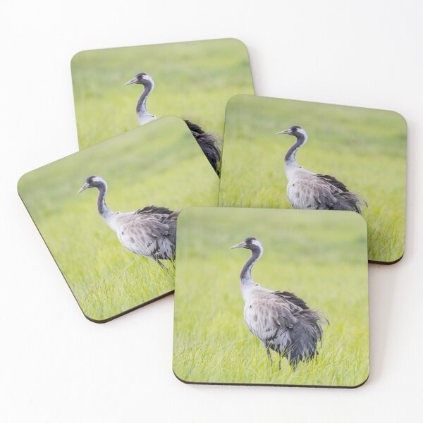 Item preview, Common Crane #1 designed and sold by Dominika Aniola.