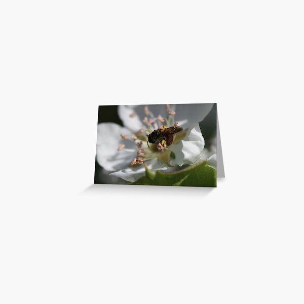 Hugging The Centre Greeting Card