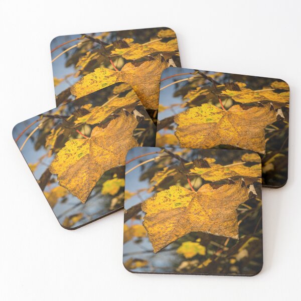Item preview, Autumn Leaves designed and sold by Dave Hare Photography.