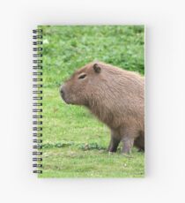 Capybara Spiral Notebook