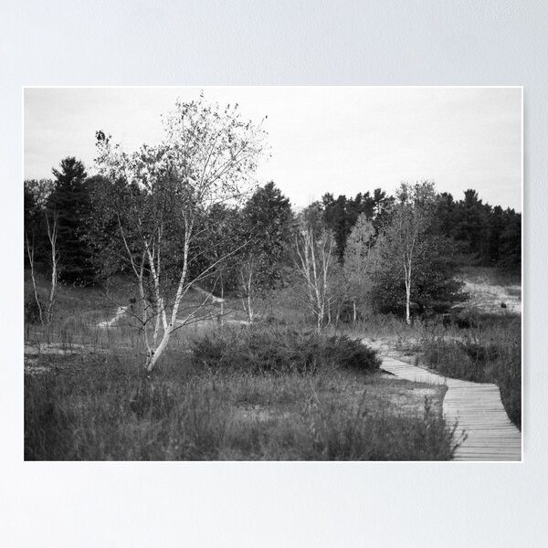 Item preview, Beach Walkway designed and sold by Kurt Kamka.