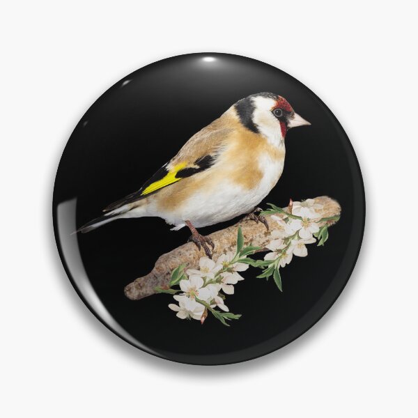 Item preview, Goldfinch designed and sold by Monikatees.