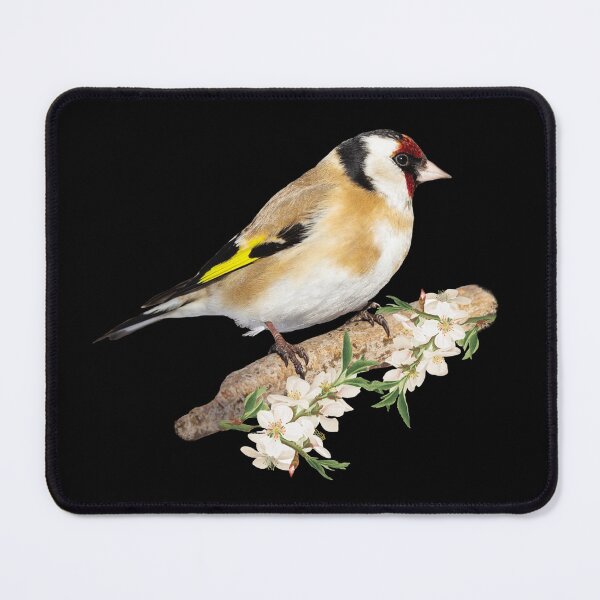 Item preview, Goldfinch designed and sold by Monikatees.