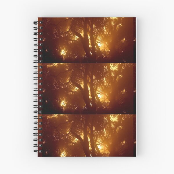 Item preview,  Sunshine through the Trees * designed and sold by varmifsud.