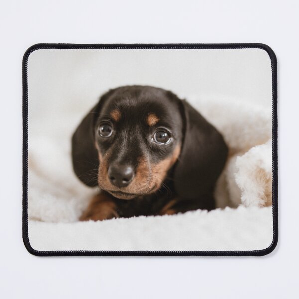 Item preview, Cute Dachshund designed and sold by DoodlesnPoodles.