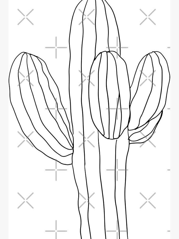 flower pot pencil drawing  Cactus drawing, Nature art drawings, Art  drawings sketches simple